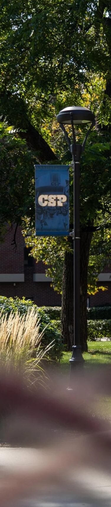 Announcing CSP’s Direct Admission Program for LCMS High School Graduates