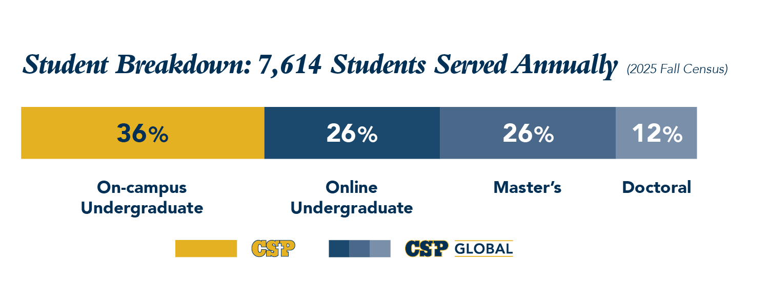 Graph showing student type breakdown